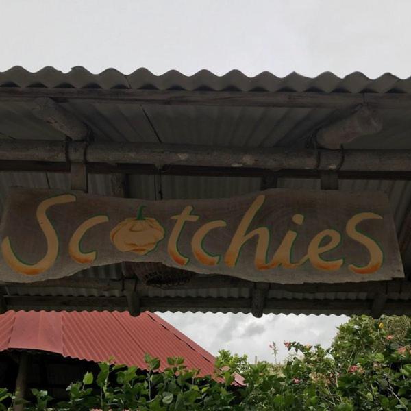 Mammee Bay Savannah'S Place المظهر الخارجي الصورة